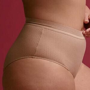 Brand New Women's Thirdlove Modern Mesh High Brief Mesh Sheer Panty Taupe Large